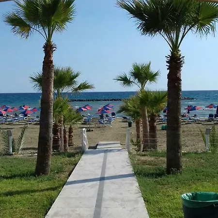 Sea Green Garden * בסיס דקליה
