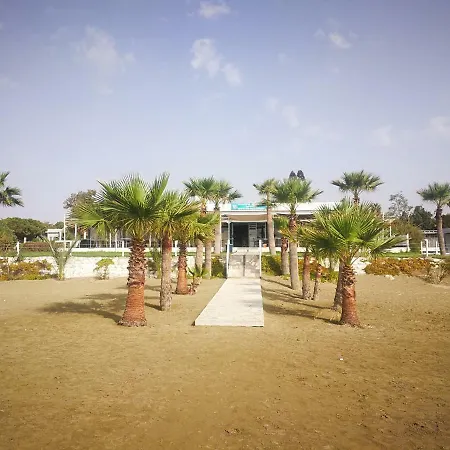 Sea Green Garden *